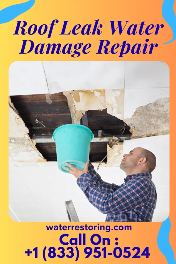 Roof Leak Water Damage Repair in Uplands Park, MO