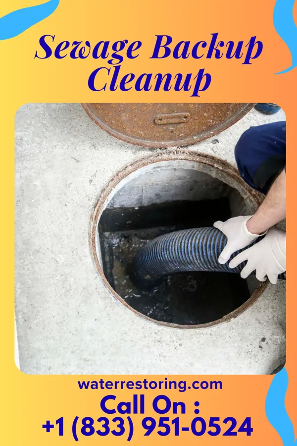 Sewage Backup Cleanup in Uplands Park, MO